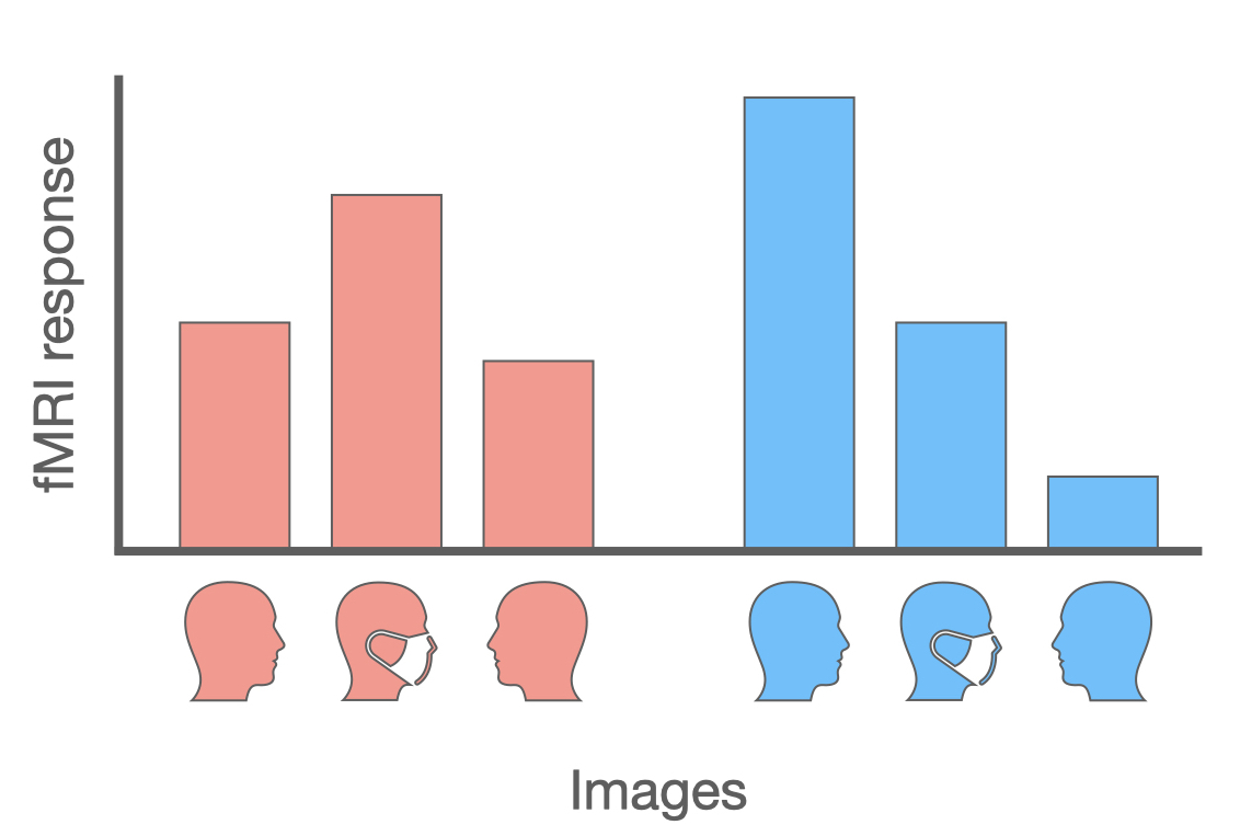 Face discrimination