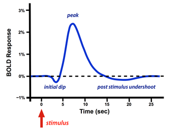 hemodynamic response