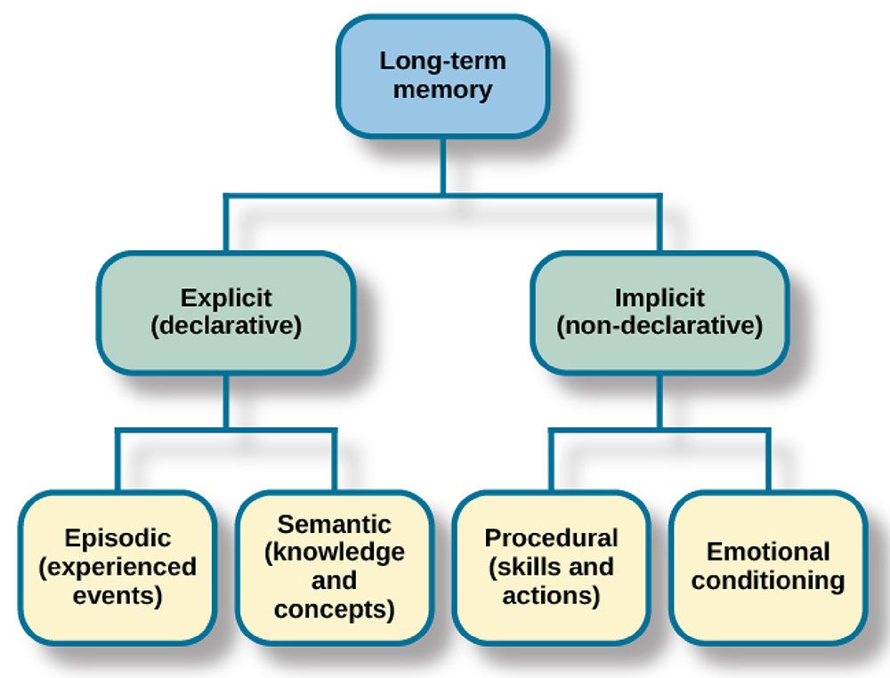 Declarative memory